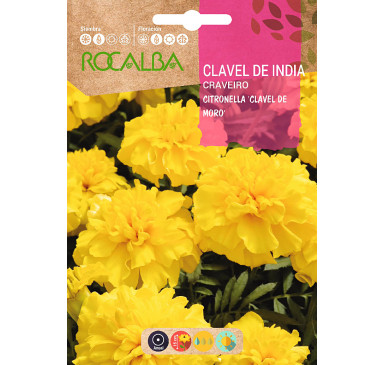 CLAVEL DE INDIA CITRONELLA DOBLE ENANO