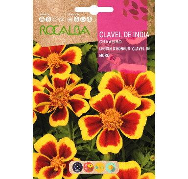 Semillas de Clavel de la India para cultivo