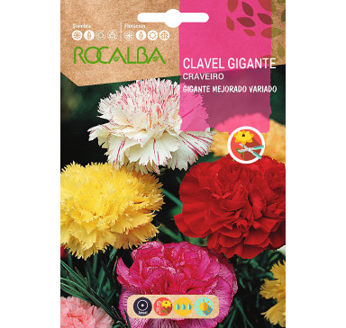 CLAVEL GIGANTE MEJORADO, VARIADO