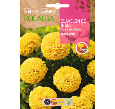 CLAVEL PLUMARIO DOBLE, VARIADO