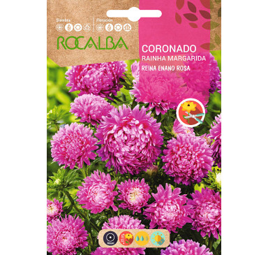 CORONADO PLUME D'AUTRUCHE GIG.,VARIADO