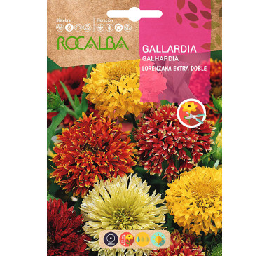GALLARDIA LORENZIANA EXTRA DOBLE,VARIADA