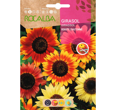 BEAUTE D'AUTOMNE, VARIADO