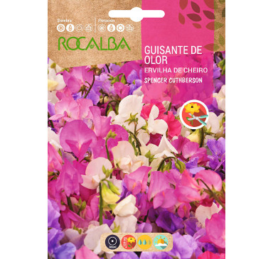 DE OLOR SPENCER CUTHBERSON,VARI