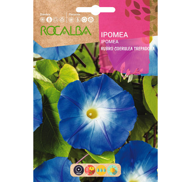 IPOMEA RUBRO COERULEA TREPADORA, AZUL