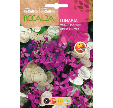 LUNARIA MONEDA DEL PAPA