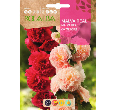 MALVA REAL CHATER DOBLE, VARIADA
