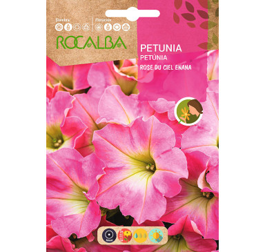 PETUNIA ROSE DU CIEL ENANA