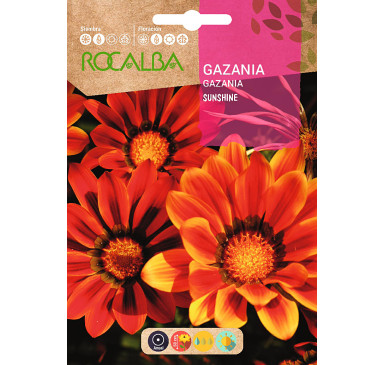 GAZANIA SUNSHINE, MEZCLA FLORISTAS