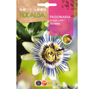 PASIONARIA TREPADORA