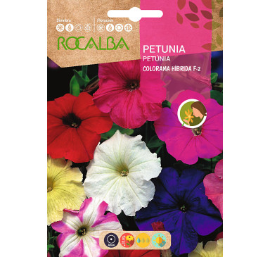 PETUNIA COLORAMA HIB.F-2, VARIADA