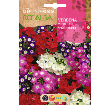 VERBENA SPARKLE HIBRIDA, VARIADA
