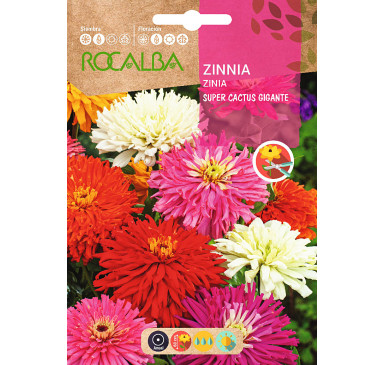 ZINIA SUPER CACTUS GIGANTE, VARIADA