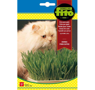 HIERBA PARA GATOS