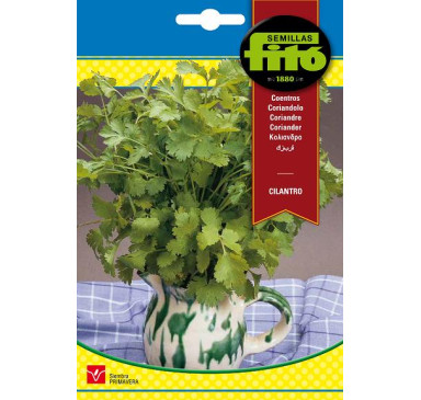 CILANTRO
