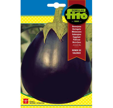 BERENJENA RONDE DE VALANCE