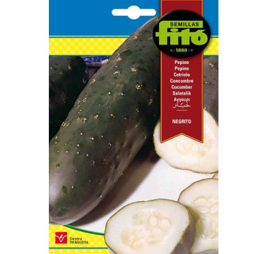PEPINO