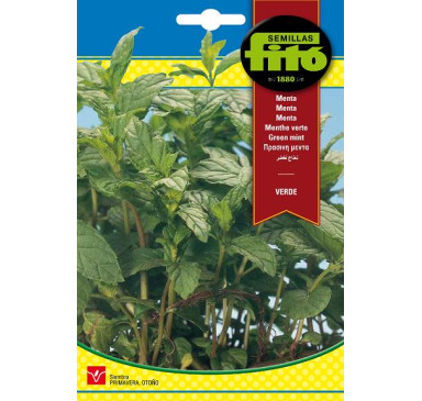 MENTA