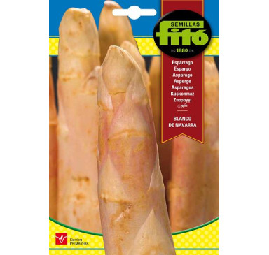 ESPÁRRAGO