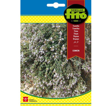 TOMILLO