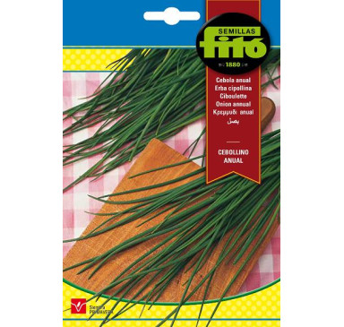 CEBOLLINO