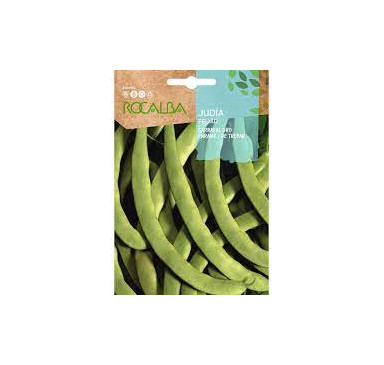 JUDIA GARRAFAL ORO 1KG