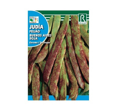 JUDIA BUENOS AIRES ROJA,ENRAME 250GR