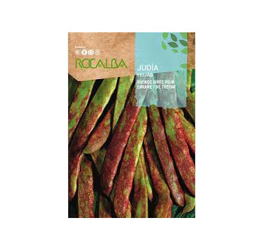 JUDIA BUENOS AIRES ROJA,ENRAME 1KG