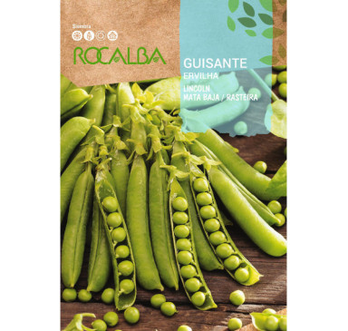 GUISANTE LINCOLN 1KG