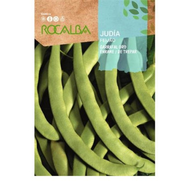 JUDIA GARRAFAL ORO 250GR