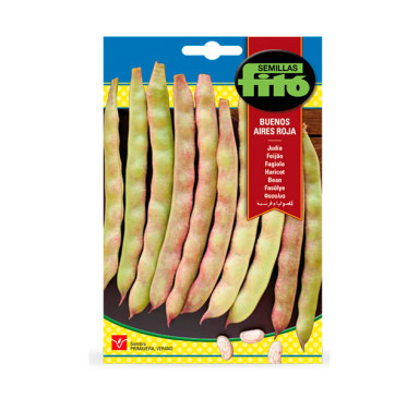 JUDÍA BUENOS AIRES ROJA