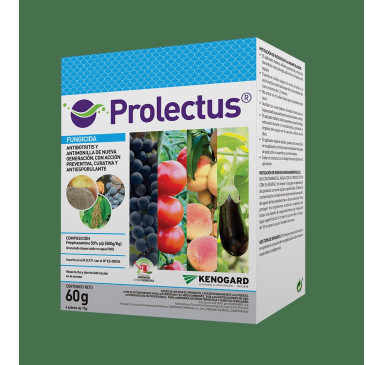 PROLECTUS 250GRS ES-00035