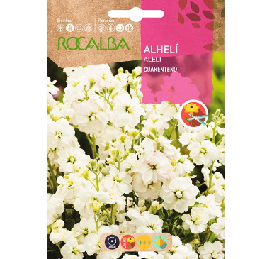 ALHELI CUARENTENO ANUAL, BLANCO