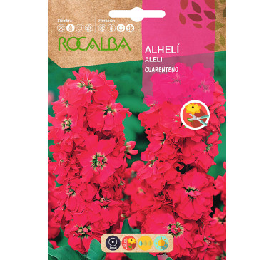 ALHELI CUARENTENO ANUAL, ROJO