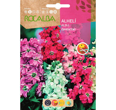 ALHELI CUARENTENO ANUAL DOBLE, VARIADO