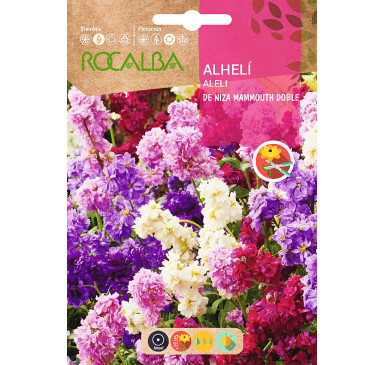 ALHELI DE NIZA MAMMOUTH DOBLE, VARIADO