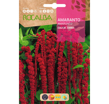 AMARANTO COLA DE ZORRO
