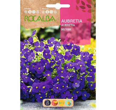 AUBRETIA DELTOIDE, PURPURA VIOLETA