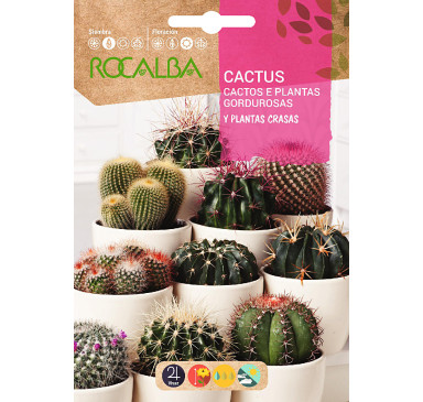 CACTUS Y PLANTAS GRASAS, VARIADO