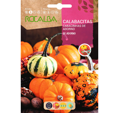 CALABACITAS DE ADORNO VARIADAS