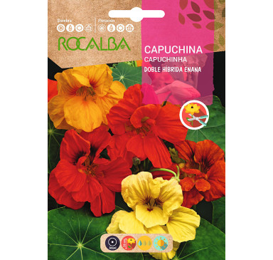 CAPUCHINA DOBLE HIB.ENANA, VARIADA