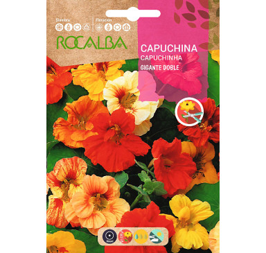 CAPUCHINA GIGANTE DOBLE, VARIADA