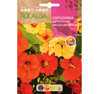 CAPUCHINA SIMPLE DE LOBB, TREPADORA