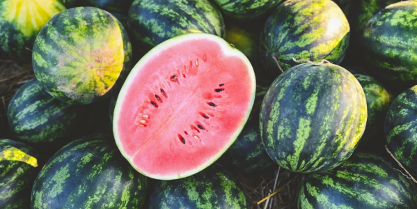 BUSCAMOS LA SANDÍA MÁS GRANDE DEL VERANO