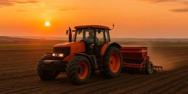 Sementera del cereal: guía completa para agricultores